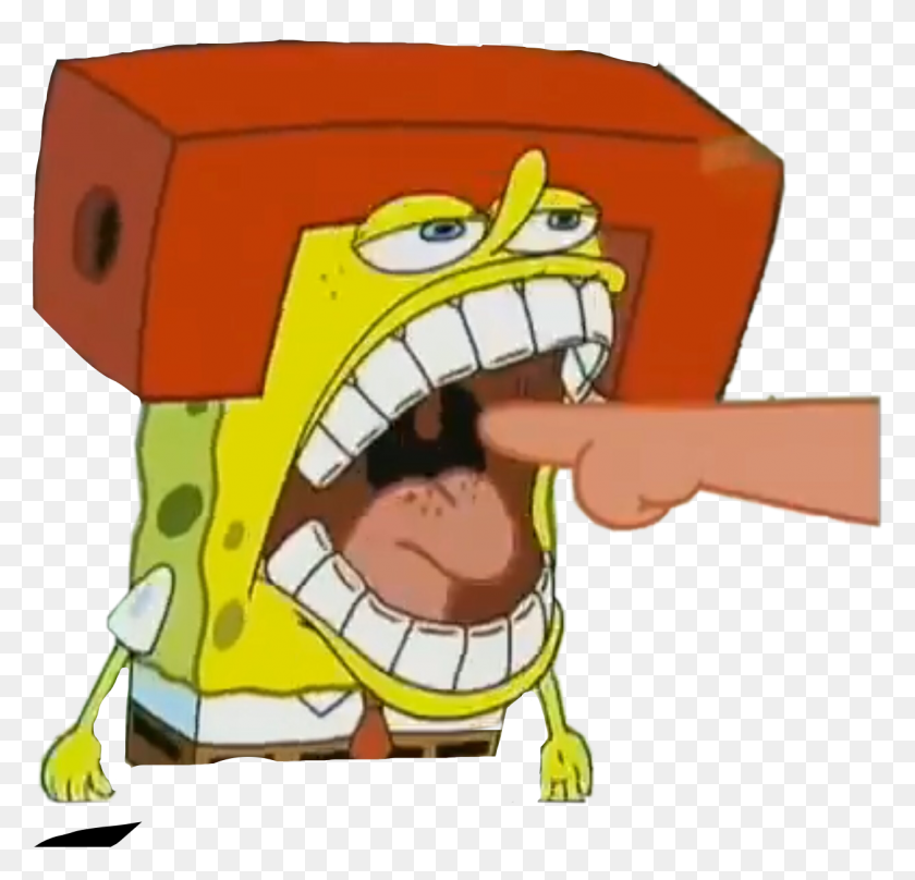 1256x1206 Literally One Of The Best Spongebob Faces Ever Spongeb Cartoon, Outdoors, Nature, Toy HD PNG Download