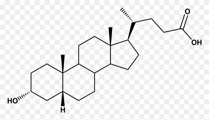 1173x637 Lithocholic Acid Structure, Gray, World Of Warcraft HD PNG Download