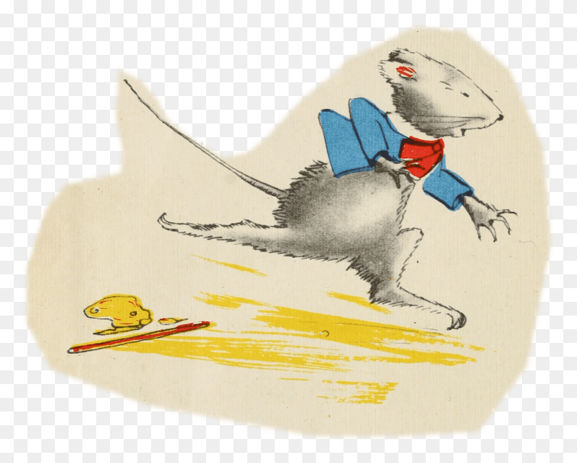 1786x1410 Little Gray Mouse Sketch, Bird HD PNG Download