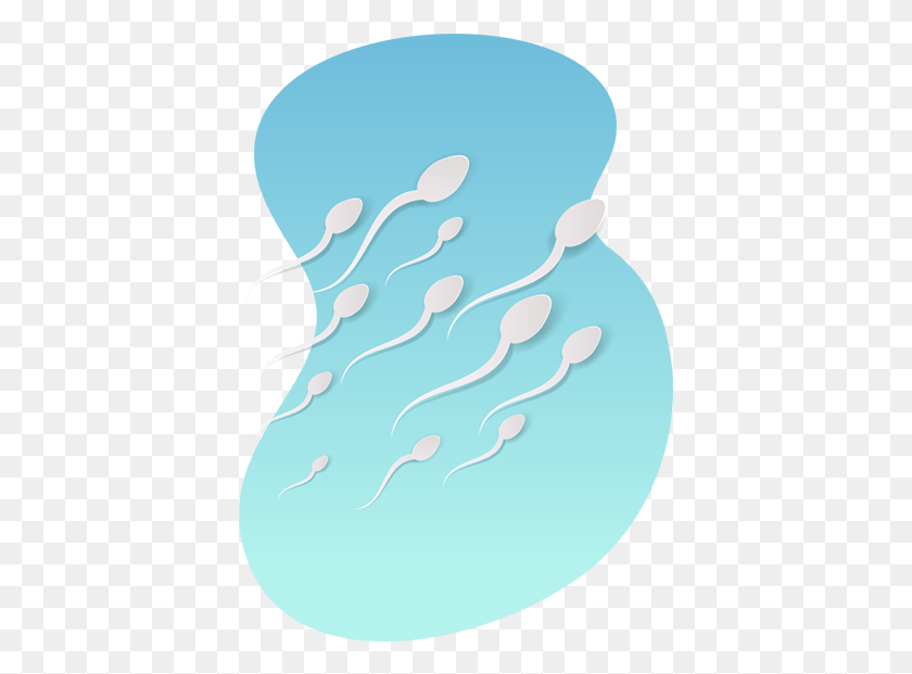 401x561 Little Known Facts About Sperm For Men39s Health Illustration, Outdoors, Nature, Leisure Activities HD PNG Download