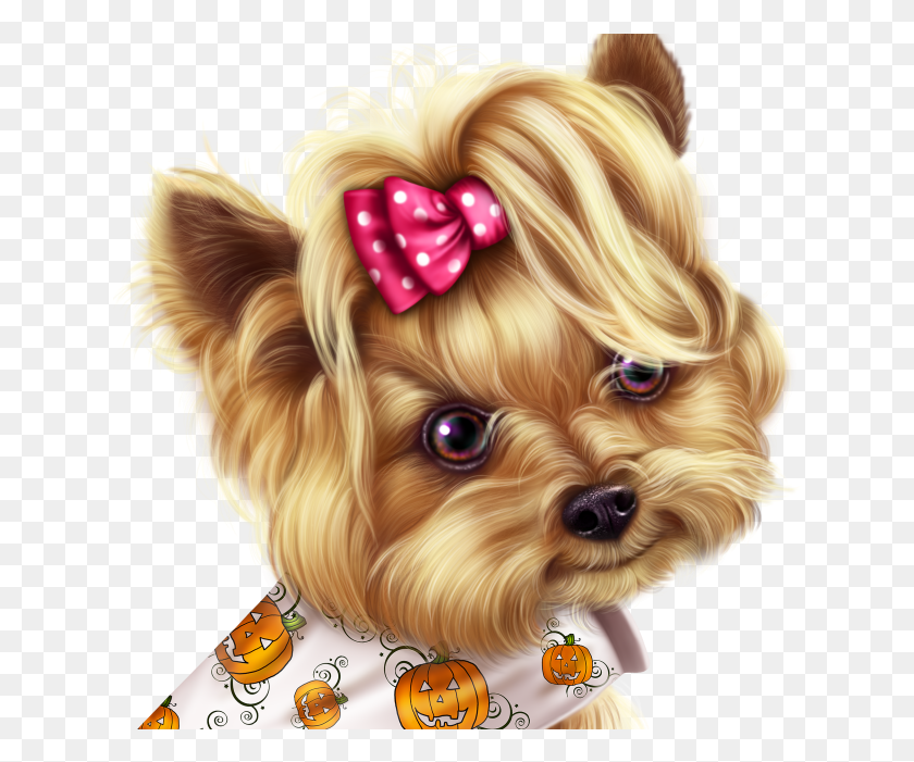 634x641 Little Pumpkin Yorkie Yorkshire Terrier, Puppy, Dog, Pet HD PNG Download