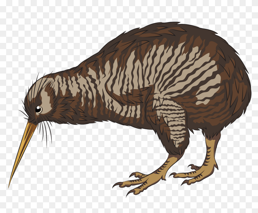 1920x1589 Little Spotted Kiwi Clipart, Animal, Dinosaur, Reptile, Bird PNG