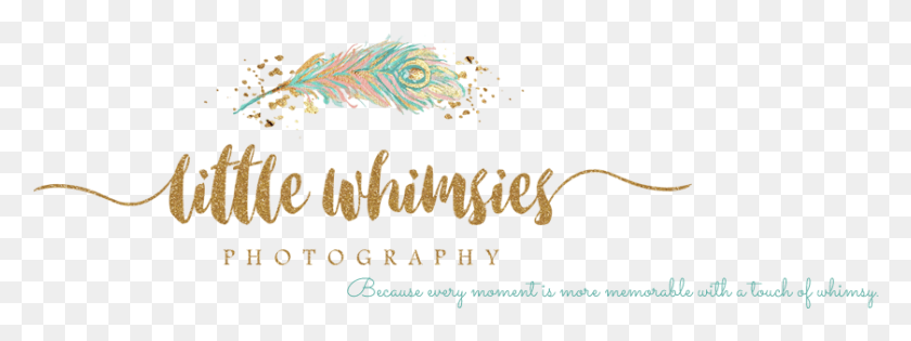 839x275 Little Whimsies Photography Calligraphy, Text, Alphabet, Outdoors HD PNG Download