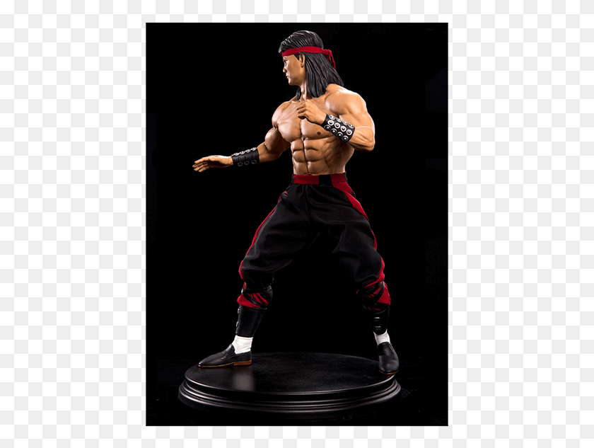 429x573 Liu Kang 14 Scale Premium Statue Mortal Kombat Liu Kang, Person, Human, Sport HD PNG Download