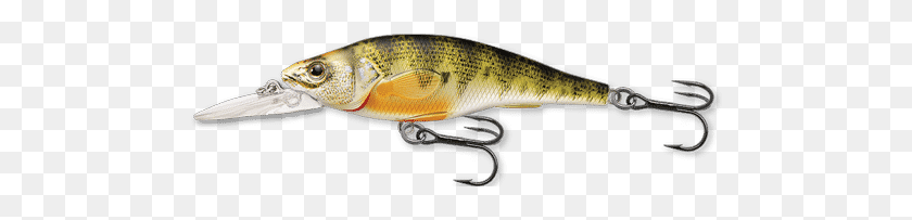 490x143 Live Syngnathiformes, Fishing Lure, Bait, Fish HD PNG Download