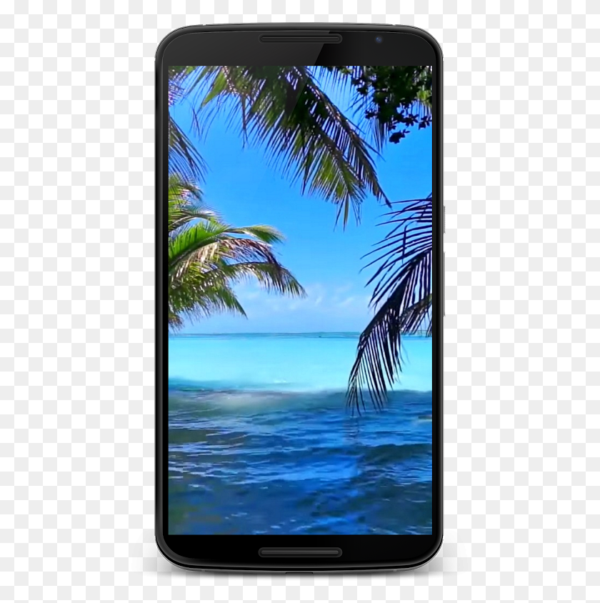 487x784 Live Video Wallpapers Beach, Tropical, Summer, Tree HD PNG Download
