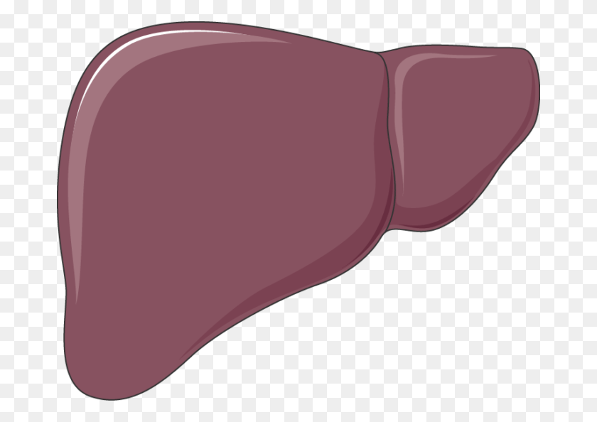 680x534 Liver, Sunglasses, Accessories, Accessory HD PNG Download