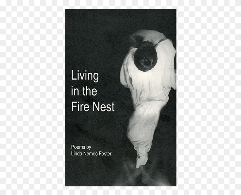 390x619 Living In The Fire Nest Poster, Paper, Sport, Sports HD PNG Download