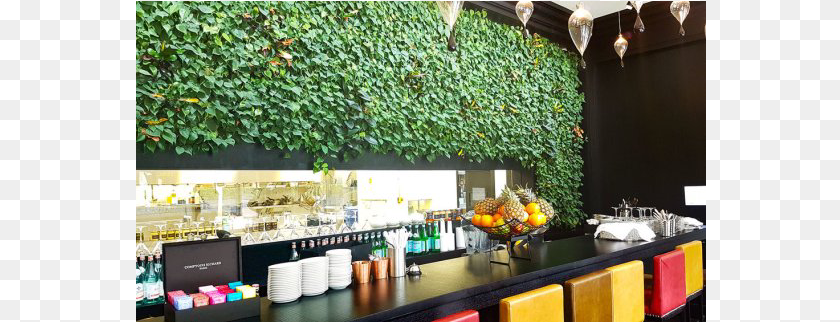 Living Plant Walls Wall, Cafeteria, Indoors, Restaurant, Shop PNG