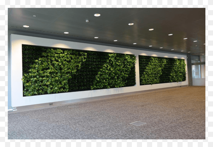 1001x668 Living Wall, Furniture, Lobby, Room HD PNG Download