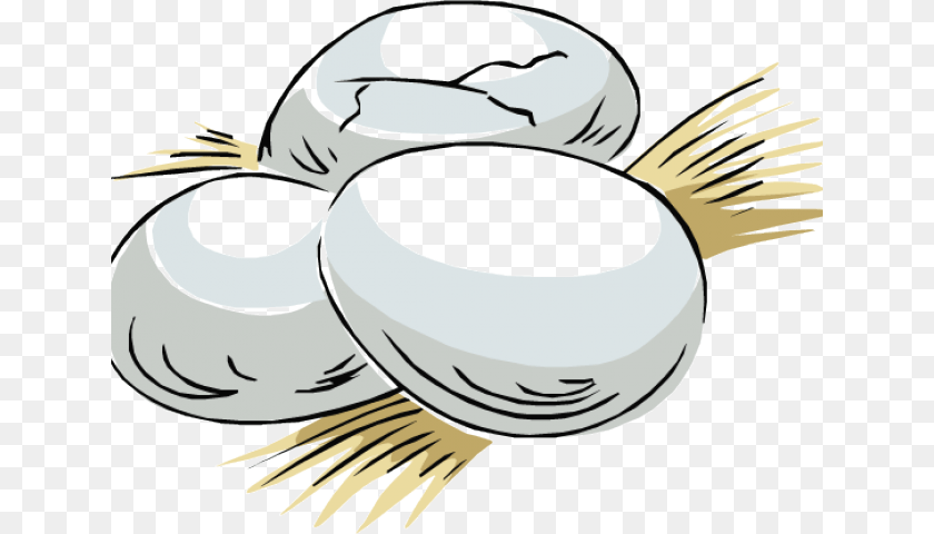 Lizard Egg Clipart, Animal, Bird, Puffin, Waterfowl PNG