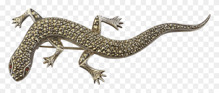 851x324 Lizard Transparent Images Transparent Gecko, Reptile, Animal, Dinosaur HD PNG Download