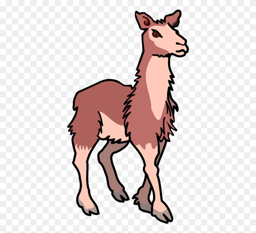 401x705 Llama Alpaca Computer Drawing Lama Clipart, Mammal, Animal, Person HD PNG Download