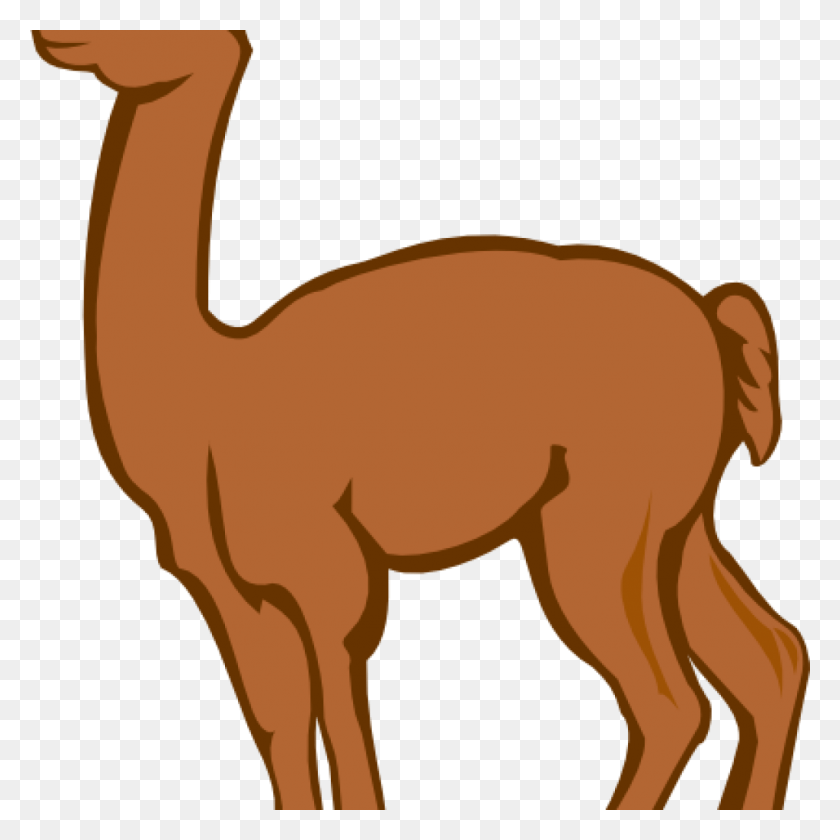 1024x1024 Png Лама, Млекопитающее, Животное, Верблюд Png Скачать