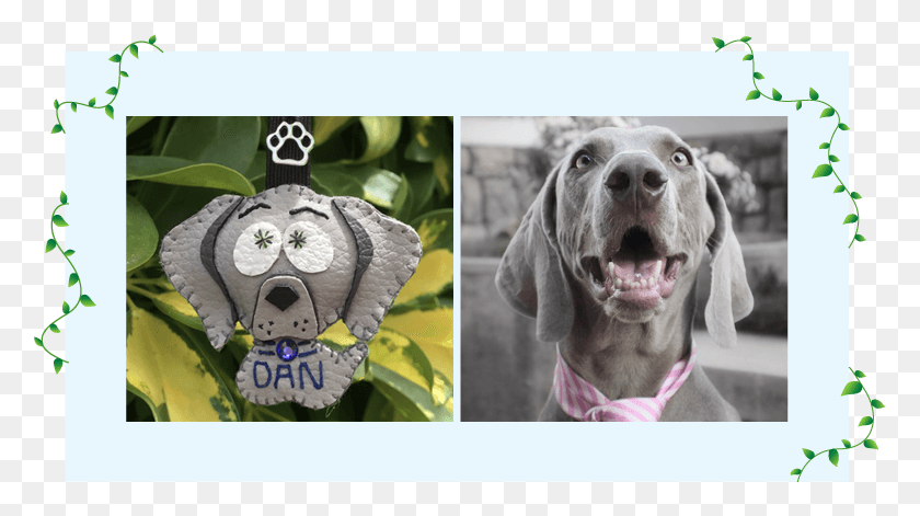 779x411 Llaveros De Perros Personalizados Weimaraner, Perro, Mascota, Canino Hd Png