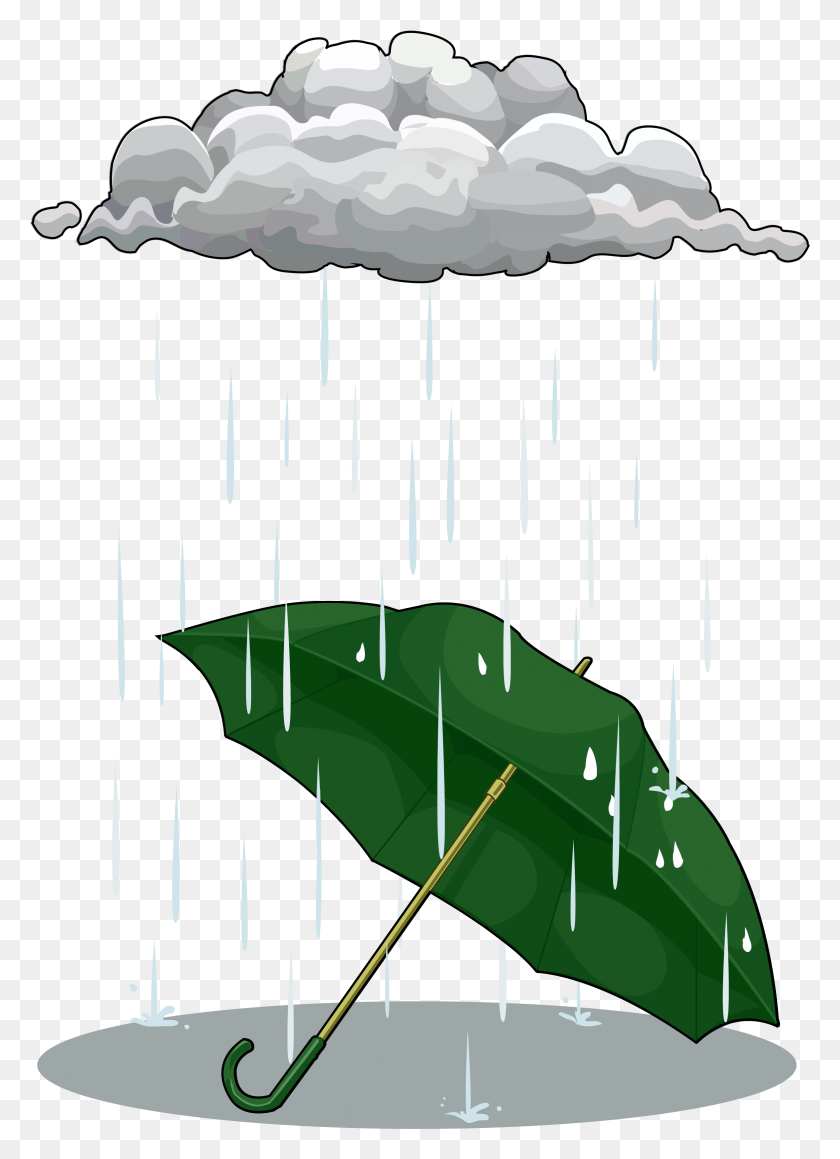 2343x3303 Lluvia, Planta, Vegetación, Humo Hd Png