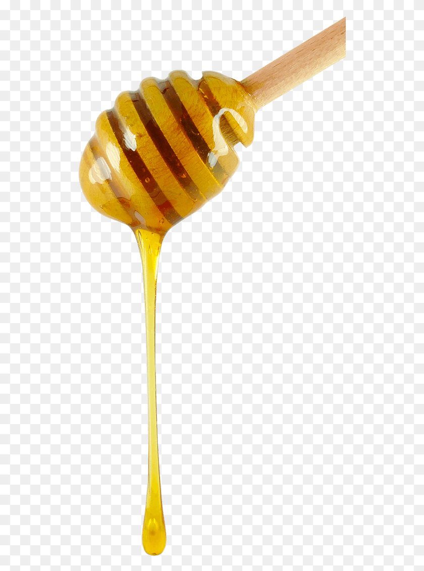 530x1071 Loaded Melon Milshake Honeybee, Food, Honey, Honeycomb HD PNG Download