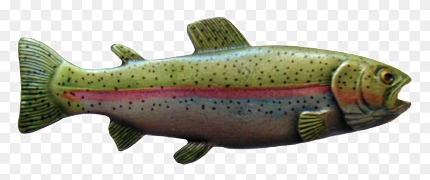 985x369 Loading Zoom Coastal Cutthroat Trout, Fish, Animal, Coho HD PNG Download