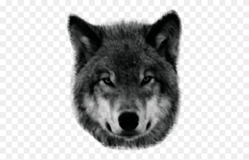 397x482 Lobo Tumblr Image Lobo, Outdoors, Nature, Outer Space HD PNG Download