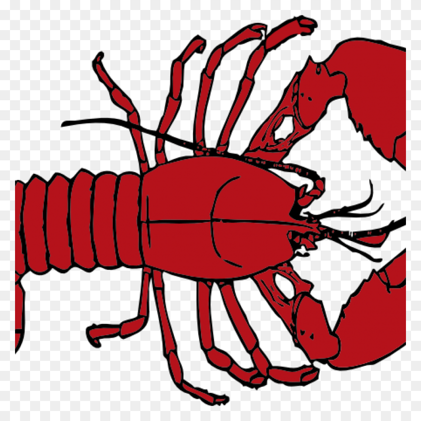 1024x1024 Lobster Clipart Free Clipart Hatenylo Shes His Lobster Friends, Crawdad, Seafood, Sea Life HD PNG Download