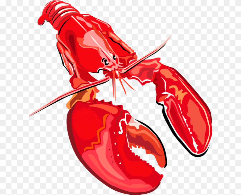 640x682 Lobster Shellfish, Animal, Food, Invertebrate, Sea Life Clipart PNG