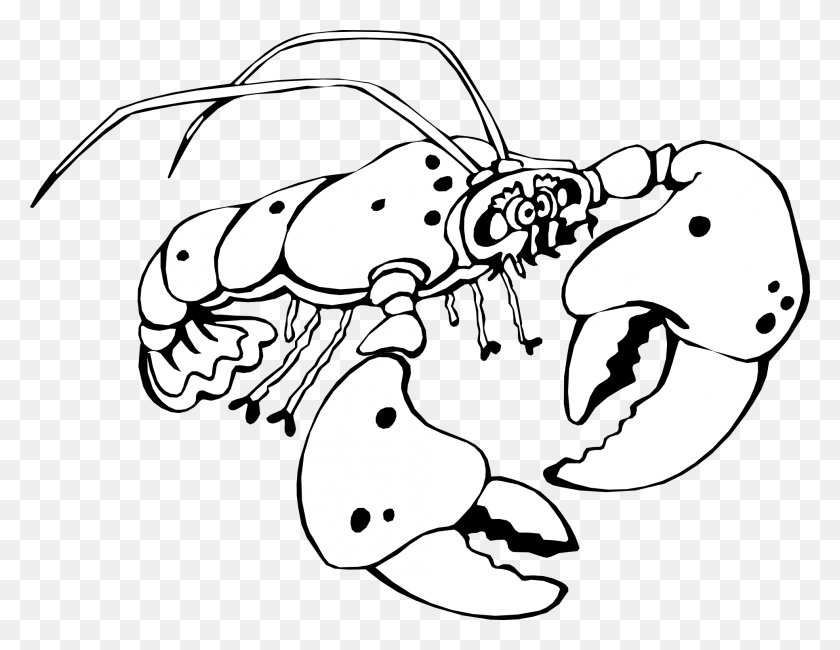 1969x1490 Lobster Of A Black And White Crayfish Lobster Clipart Black And White, Animal, Invertebrate, Insect HD PNG Download