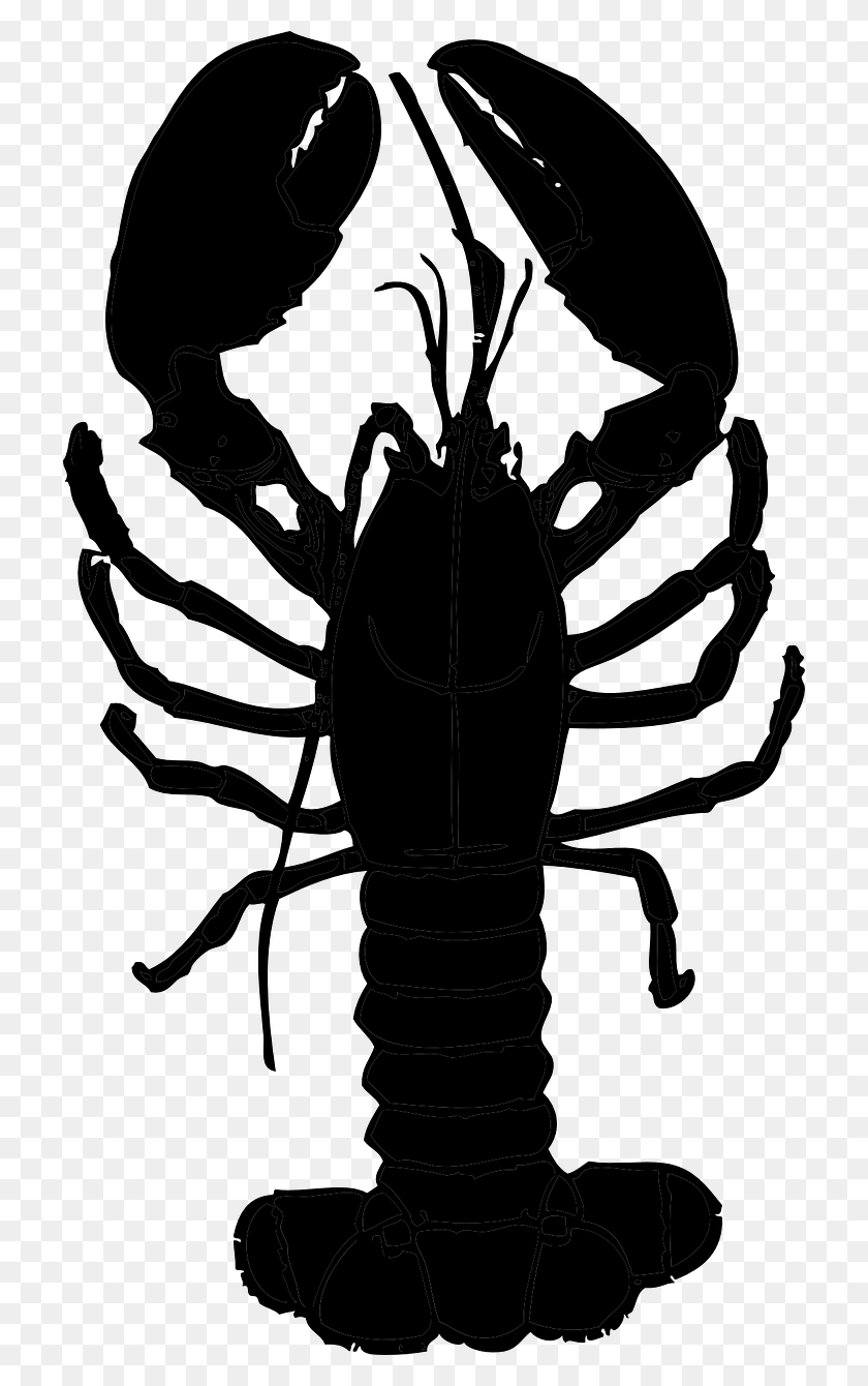 718x1280 Lobster Sea Seafood Black Image Lobster Clip Art, Gray, World Of Warcraft HD PNG Download