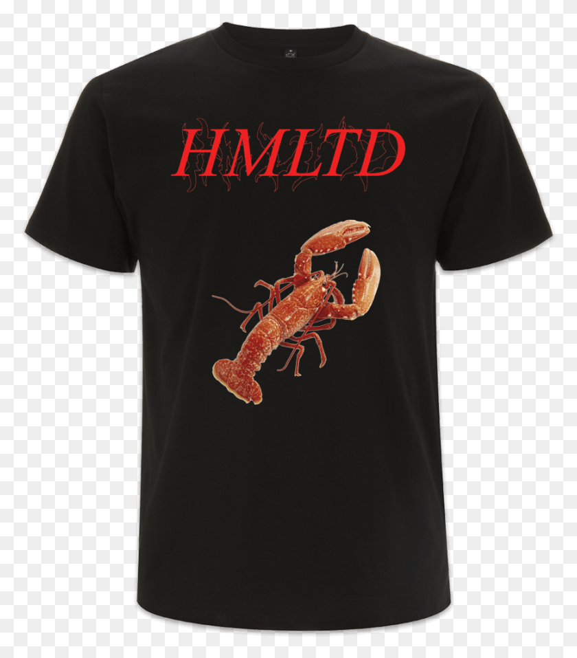 866x996 Lobster Shrimp, Crawdad, Seafood, Sea Life HD PNG Download