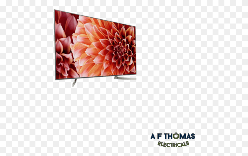 480x471 Local Delivery 2 5 Days Sony Bravia, Dahlia, Flower, Plant HD PNG Download