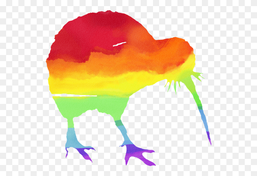 548x516 Local Rainbow Kiwi Bird, Animal HD PNG Download
