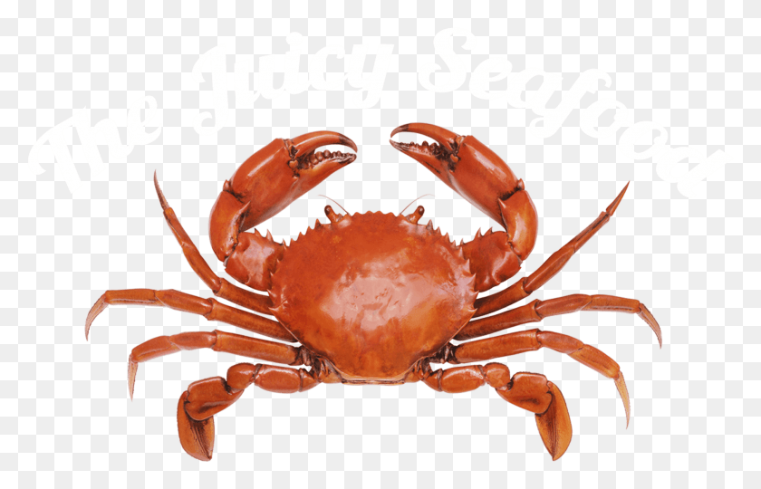 1858x1144 Local Seafood Restaurant Savannah Ga Crab Top View, Lobster, Sea Life, Food HD PNG Download