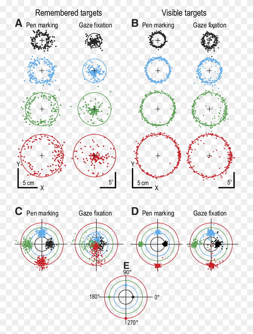 743x1048 Locations Of Pen Markings And Related Gaze Fixations Circle, Wristwatch, Bubble, Symbol Descargar Hd Png