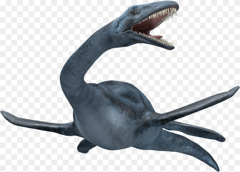 Loch Ness Monster Loch Ness Monster, Animal, Fish, Sea Life, Shark PNG