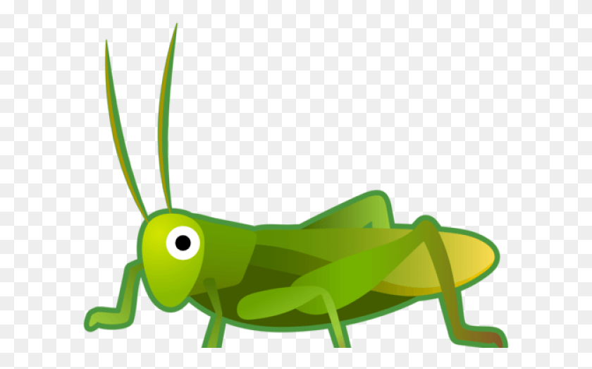 607x463 Locust Emoji, Grasshopper, Insect, Invertebrate HD PNG Download