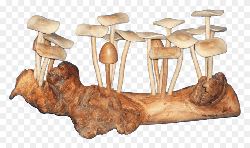 1051x590 Log In To Your Account, Fungus, Furniture, Plant HD PNG Download