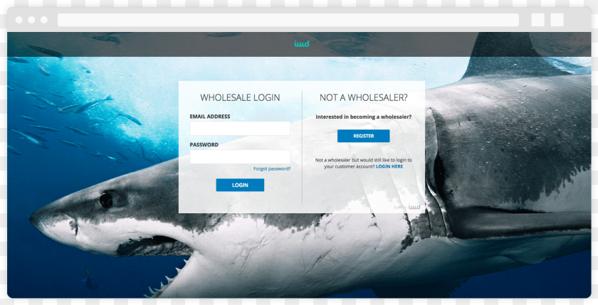 Login, Animal, Sea Life, Fish, Shark Clipart PNG
