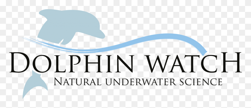 1601x622 Logo Dolphin Watch Natural Underwater Science Graphic Design, Pillow, Cushion, Brush Descargar Hd Png
