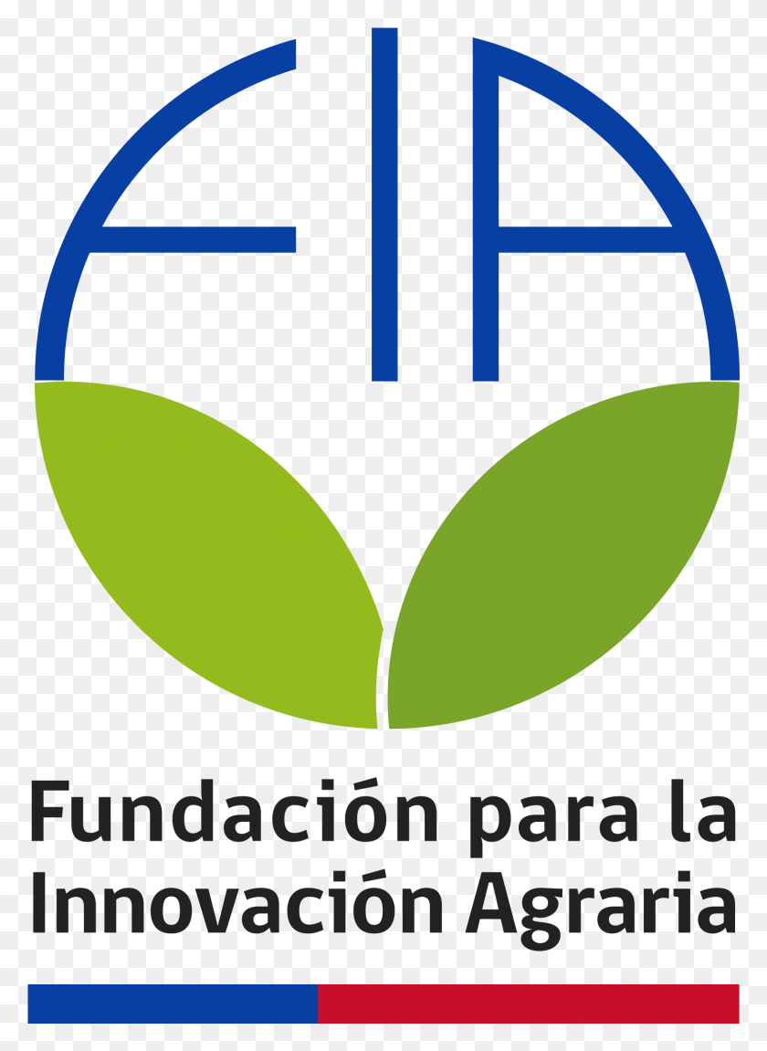 1576x2206 Логотип Fia Fia Chile Logo, Подушка, Подушка, Символ Png Скачать
