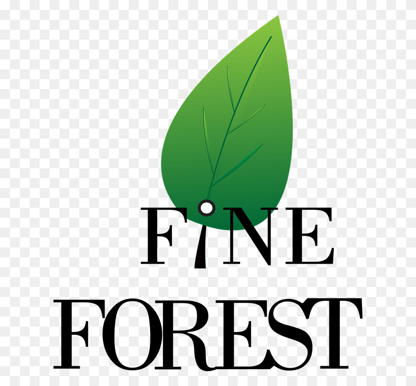 624x720 Logo Forest Symbol Design Nature Sign Icon Poster, Leaf, Plant, Droplet HD PNG Download