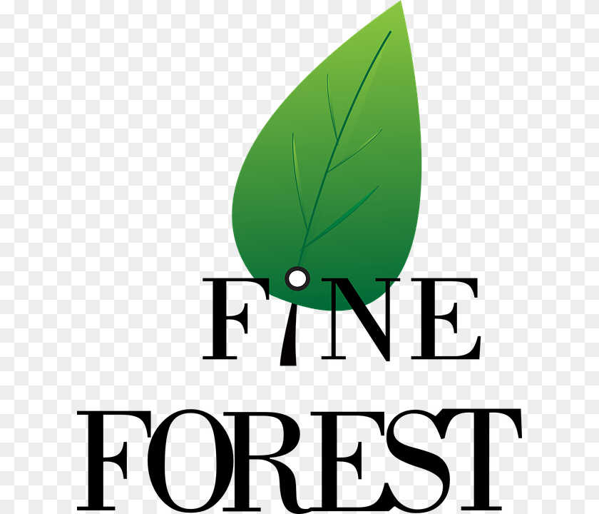 624x720 Logo Forest Symbol Design Nature Sign Icon Poster, Leaf, Plant, Green, Droplet Clipart PNG
