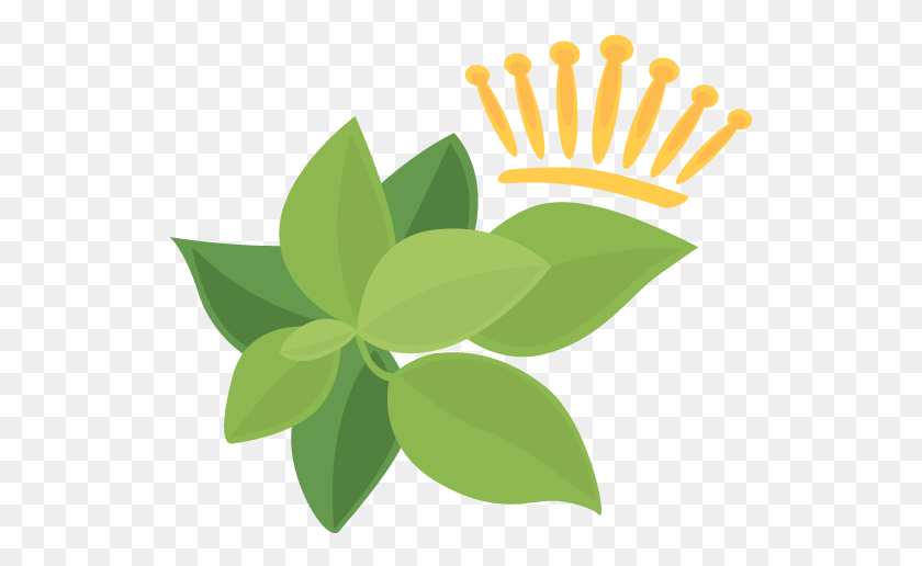 531x456 Логотип Mock Orange, Лист, Растение, Зеленый Hd Png Скачать