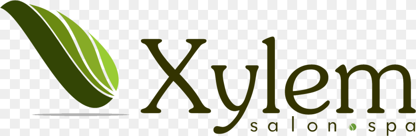 Logo Shenzhen, Green, Text PNG