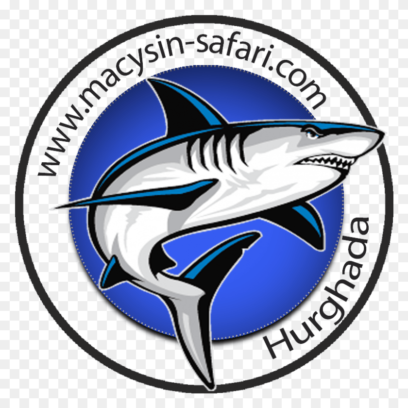 795x795 Logo Sticker Msdstrong, Shark, Sea Life, Fish HD PNG Download