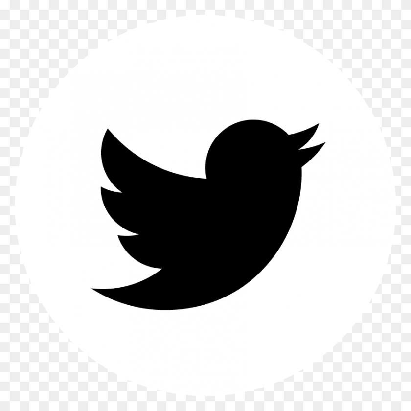 843x843 Логотип Twitter Nero Вектор Twitter Значок Svg, Трафарет, Птица Hd Png Скачать