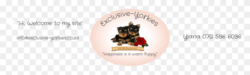 1833x454 Logo Yorkshire Terrier, Puppy, Dog, Pet HD PNG Download