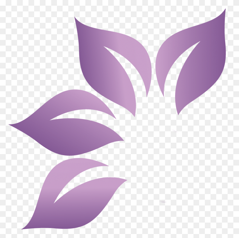 788x782 Logos For Essential Oils, Graphics, Plant HD PNG Download
