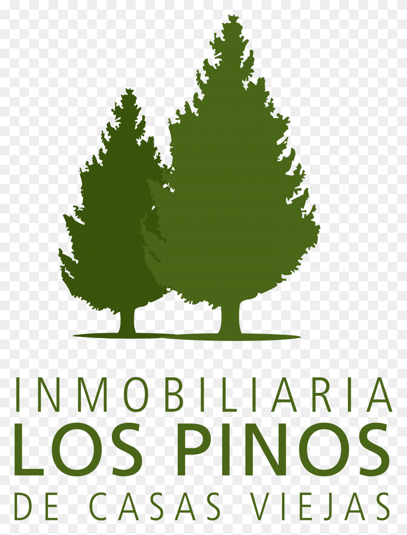 5965x7980 Логотипы Лос Пинос, Дерево, Растение, Плакат Hd Png Скачать