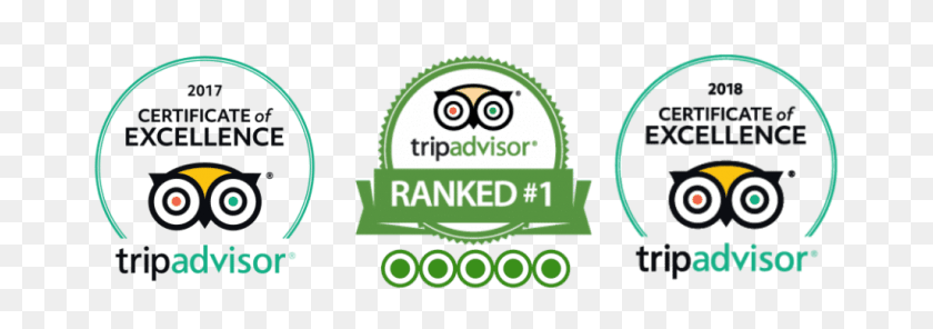 1024x310 Логотипы Нашего Сайта Tripadvisor 2017 Amp 2018 Сертификат Качества Награды Tripadvisor 2017, Зеленый, Этикетка, Текст Hd Png Download