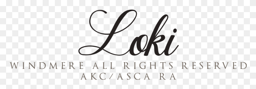 875x263 Loki Windmere All Rights Reserved Is My Daughter Brittany39s Calligraphy, Text, Alphabet, Handwriting HD PNG Download
