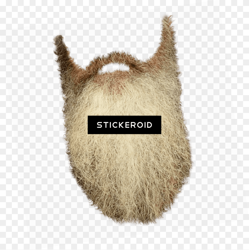 1218x1219 Long Beard Santa Beard, Face, Head, Person, Animal Sticker PNG